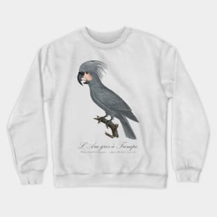 Grey Palm Cockatoo Parrot / L’Ara gris a Trompe - Jacques Barraband 19th century Illustration Crewneck Sweatshirt